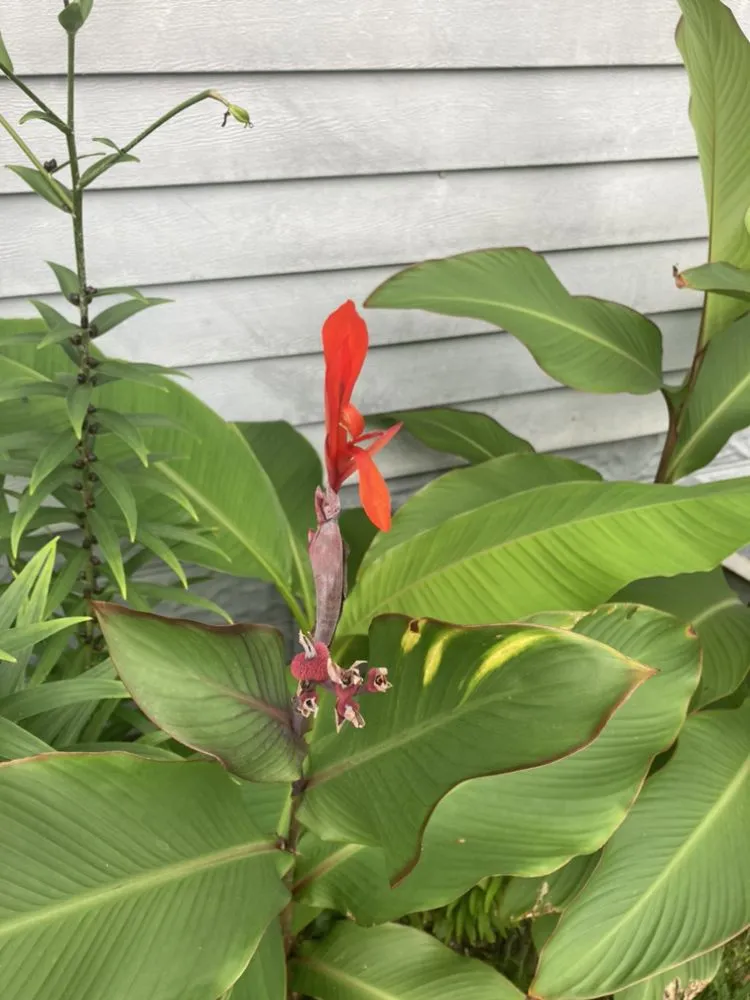 Affordable landscape design experts serving Rockwood, TN - W & R Mac Dermott Affordable Lawn Care