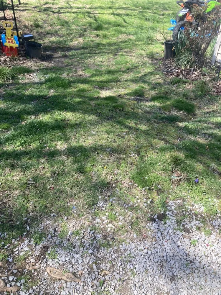 Affordable lawn care service for residential properties across Rockwood, TN - W & R Mac Dermott Affordable Lawn Care