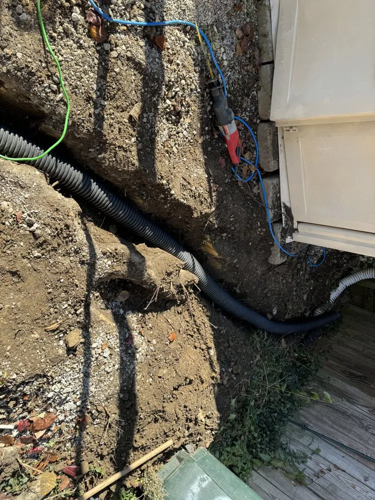 Professional lawn care service in Florence, KY - W D Service