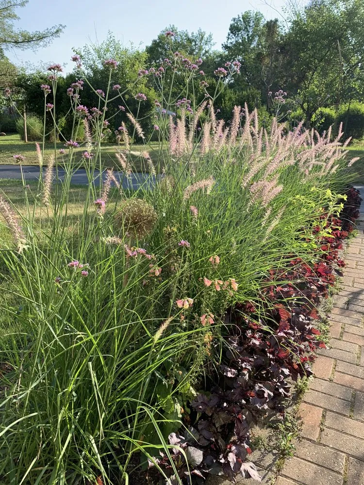 Reliable yard cleanup service for beautiful yards in Warren, NJ by W Hendershot Landscape Design
