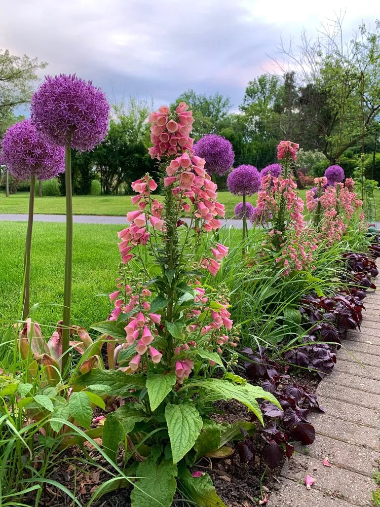 Professional yard maintenance in Warren, NJ by W Hendershot Landscape Design