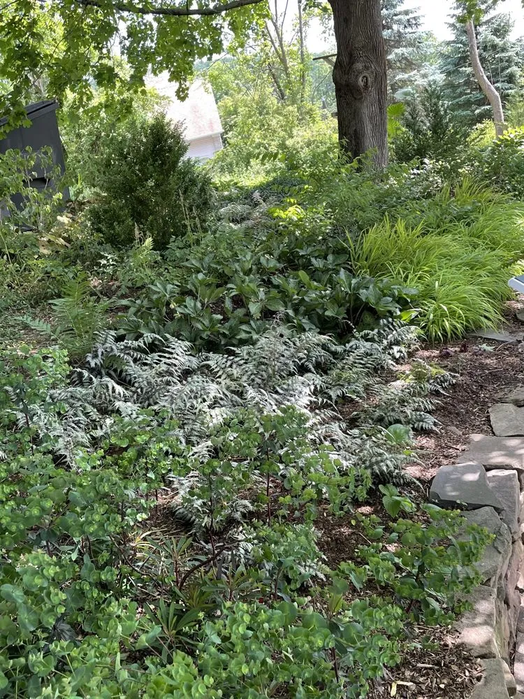 Trusted lawn care service experts serving Warren, NJ - W Hendershot Landscape Design