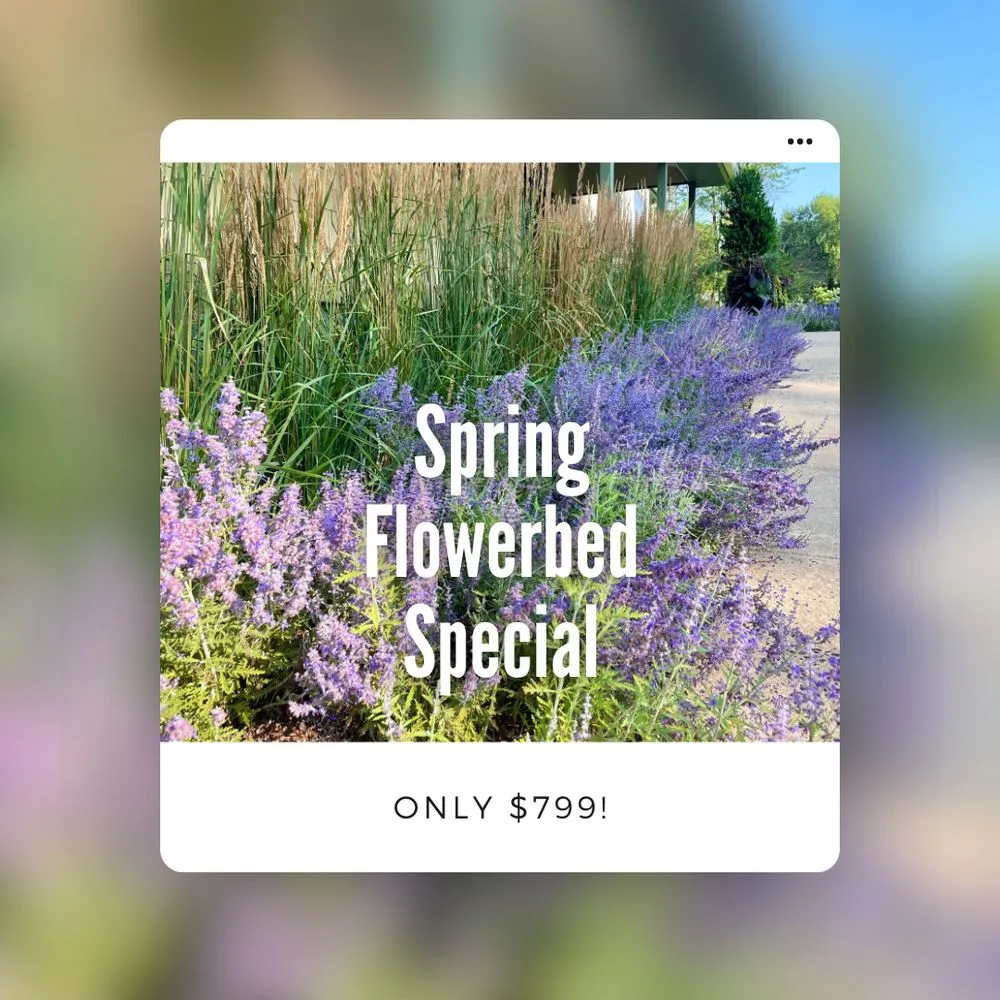 Local yard maintenance for outdoor upgrades in Warren, NJ by W Hendershot Landscape Design