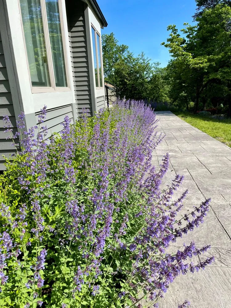 Trusted lawn mowing service for homes across Warren, NJ - W Hendershot Landscape Design