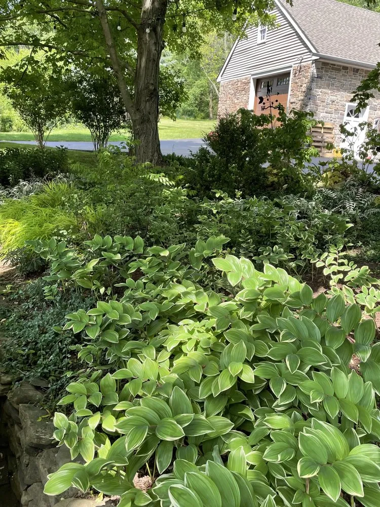 Trusted landscape installation experts serving Warren, NJ - W Hendershot Landscape Design