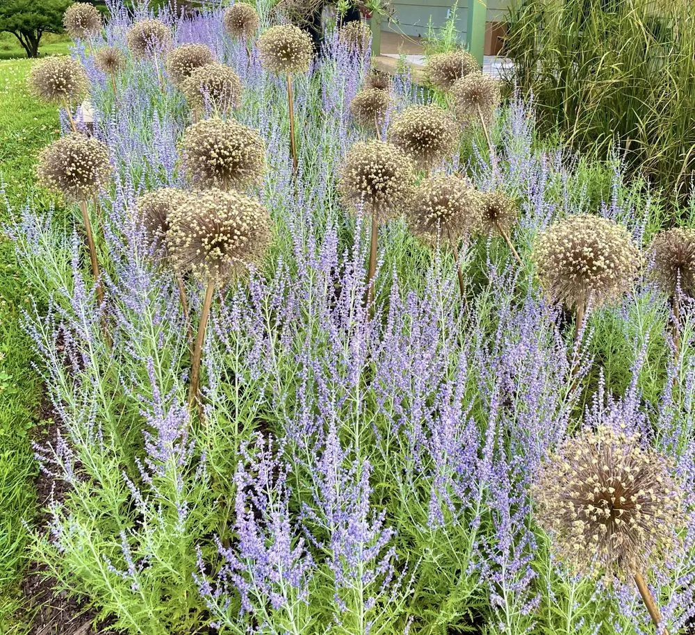 Expert garden landscaping for homes across Warren, NJ - W Hendershot Landscape Design