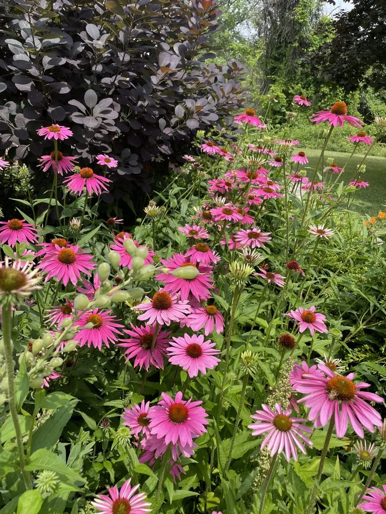 Affordable yard cleanup service for residential properties in Warren, NJ by W Hendershot Landscape Design