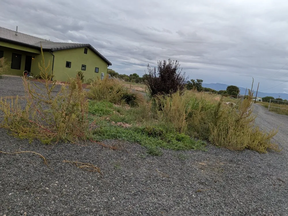 Trusted yard cleanup service for beautiful yards across Los Lunas, NM - W O W Weedout Waters