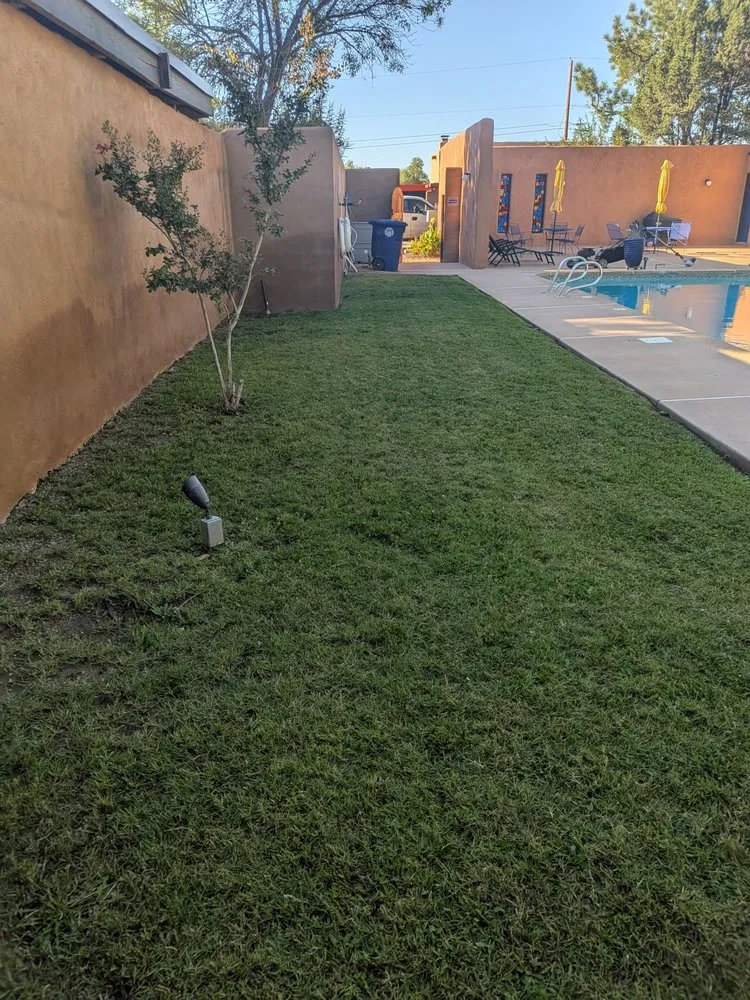 Custom landscape design experts serving Los Lunas, NM - W O W Weedout Waters