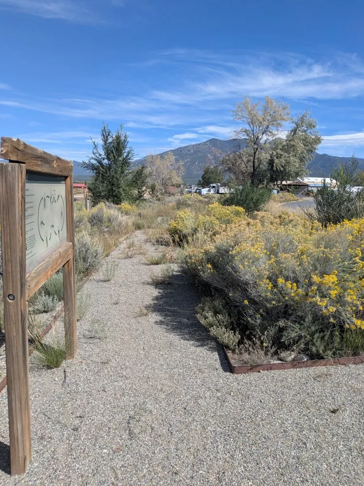 Reliable landscape design in Los Lunas, NM - W O W Weedout Waters