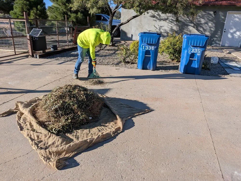 Affordable garden landscaping for outdoor upgrades in Los Lunas, NM by W O W Weedout Waters