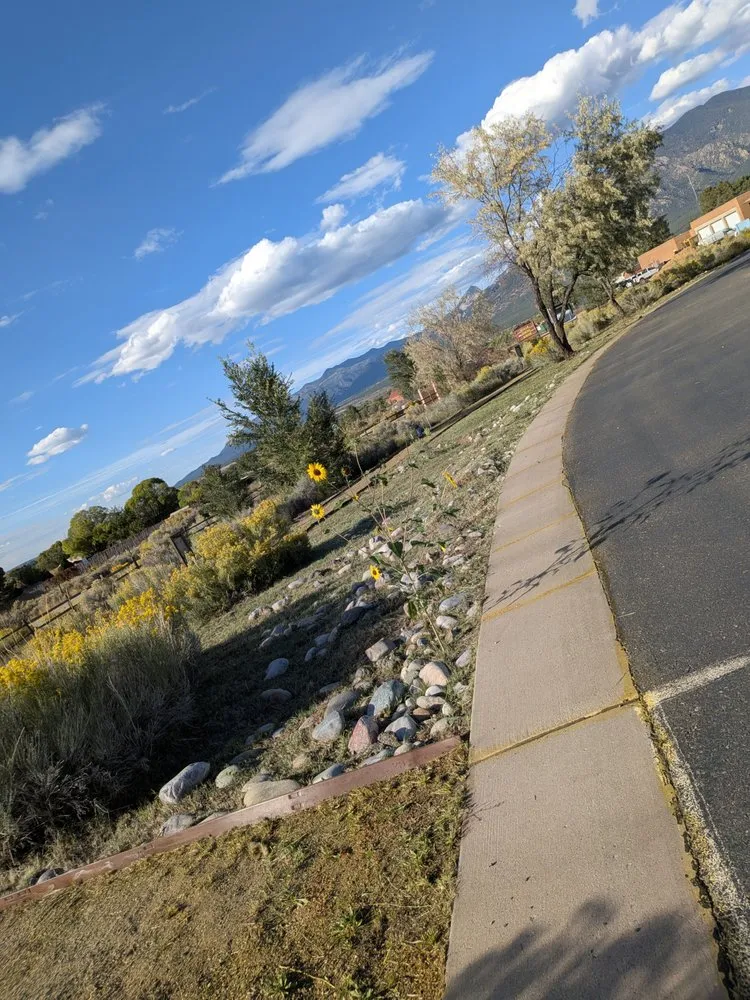 Professional yard cleanup service in Los Lunas, NM by W O W Weedout Waters