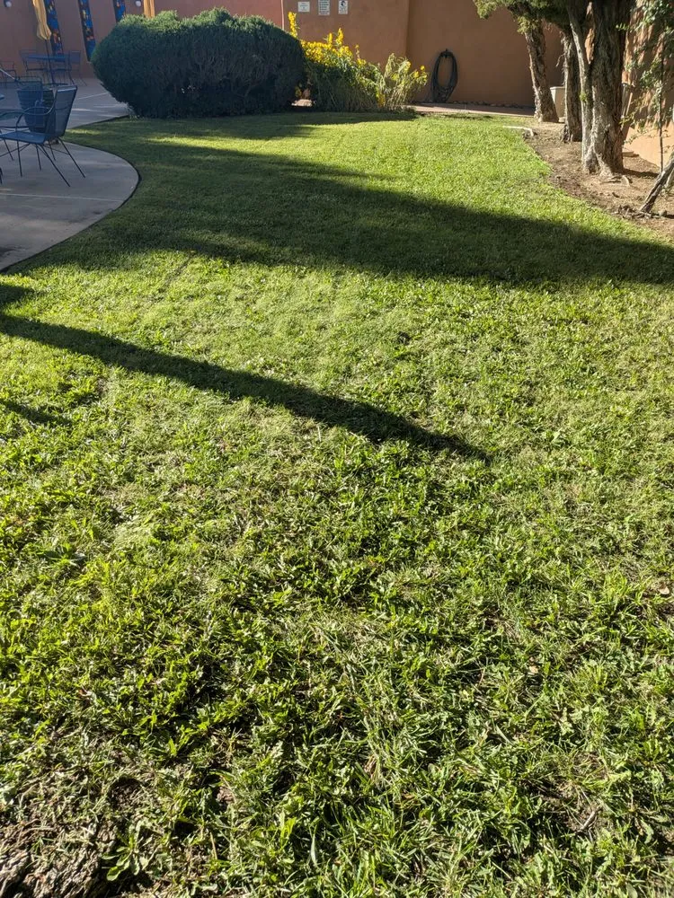 Professional lawn mowing service with custom design across Los Lunas, NM - W O W Weedout Waters
