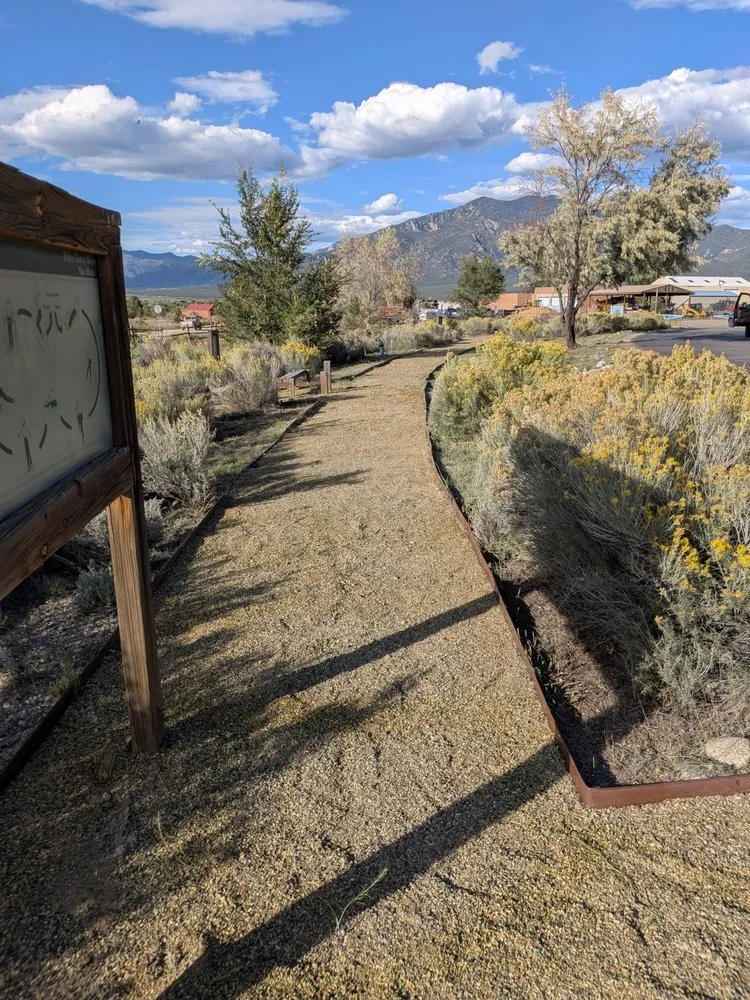 Expert landscape design in Los Lunas, NM - W O W Weedout Waters