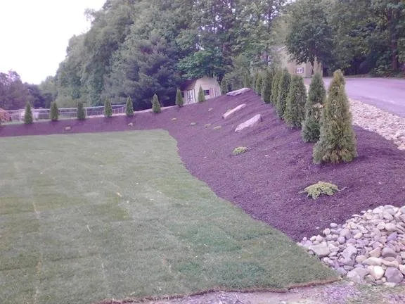 Local lawn care service in Nanticoke, PA - W Peters Enterprises