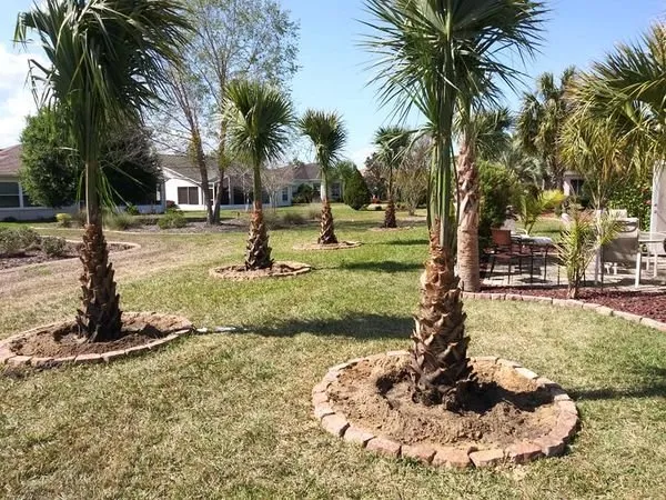 Expert yard maintenance in Dunnellon, FL by W S Palm Trees & Landscape