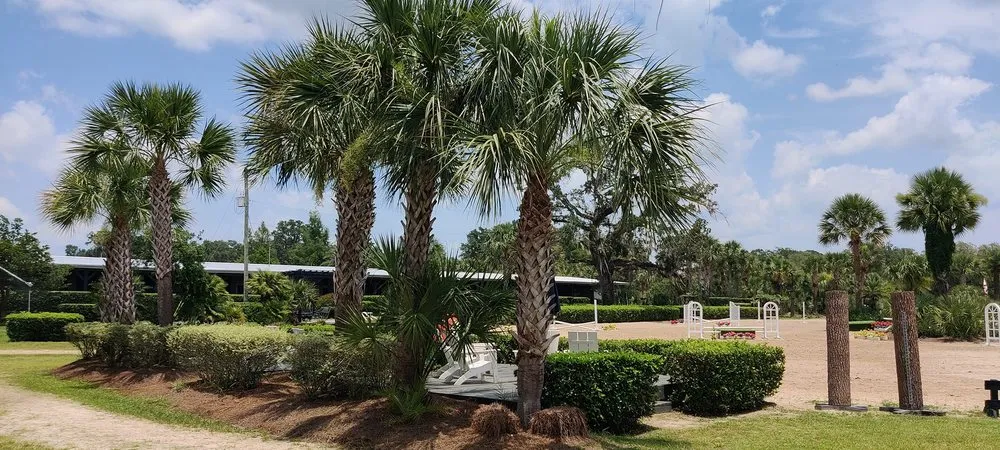Local residential landscaping in Dunnellon, FL by W S Palm Trees & Landscape