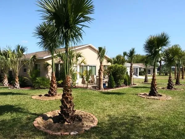 Local lawn mowing service in Dunnellon, FL - W S Palm Trees & Landscape