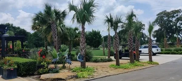 Top-rated landscape design with custom design in Dunnellon, FL by W S Palm Trees & Landscape