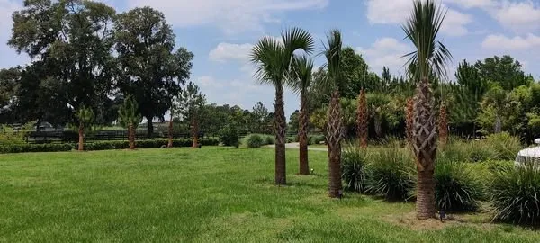 Local lawn mowing service experts serving Dunnellon, FL - W S Palm Trees & Landscape