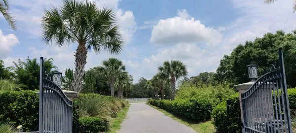 W S Palm Trees & Landscape Logo