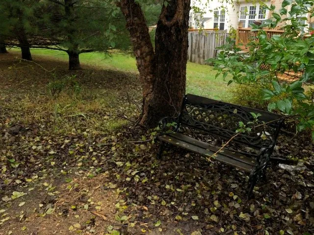 Local yard maintenance with custom design across Cockeysville, MD - W S Services Unlimited