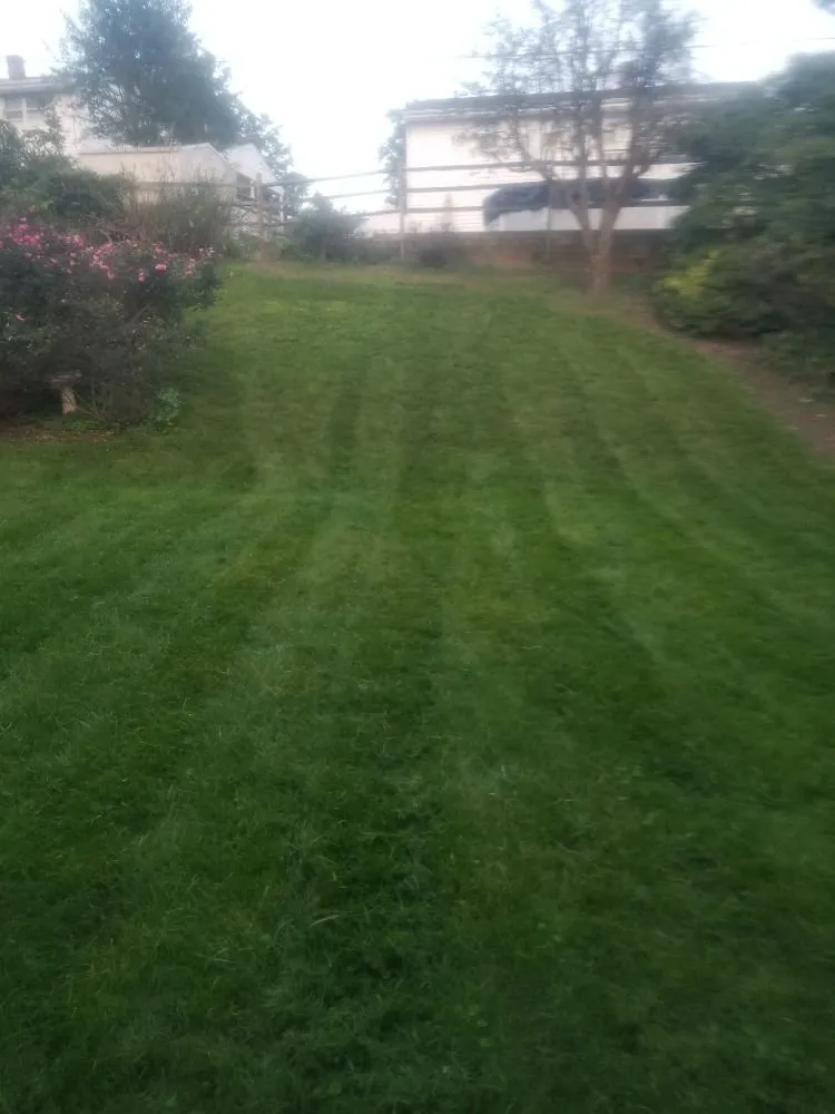 Top-rated yard maintenance experts serving Cockeysville, MD - W S Services Unlimited