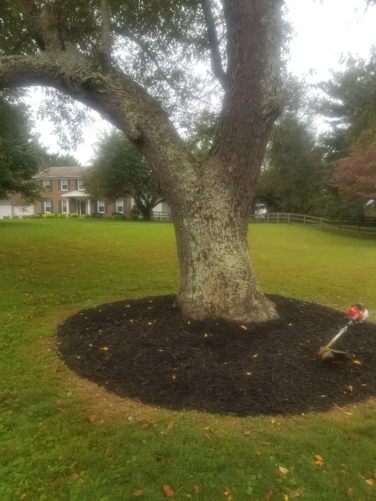 Custom residential landscaping in Cockeysville, MD - W S Services Unlimited
