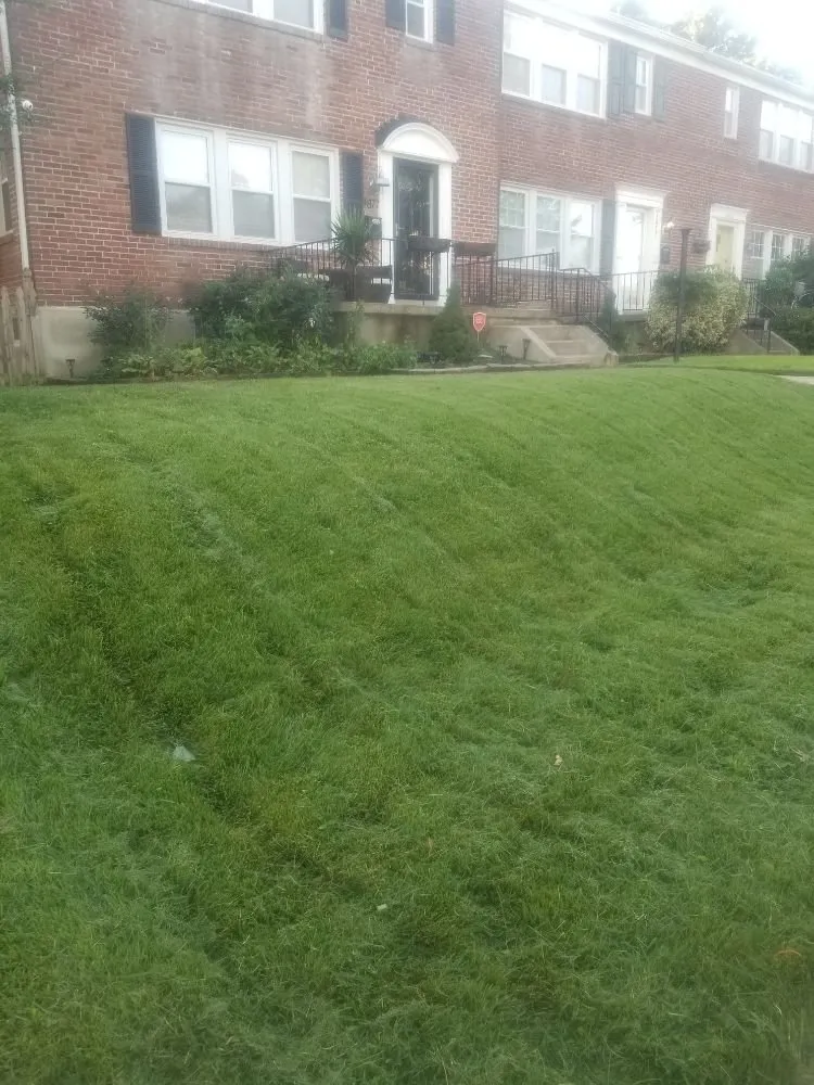 Reliable lawn care service with custom design across Cockeysville, MD - W S Services Unlimited