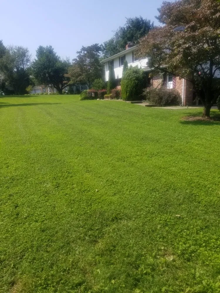 Custom garden landscaping with custom design in Cockeysville, MD by W S Services Unlimited