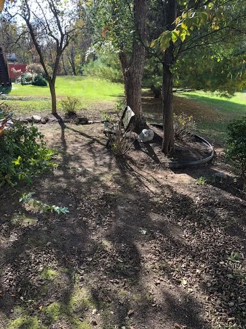 Custom yard cleanup service for beautiful yards across Cockeysville, MD - W S Services Unlimited