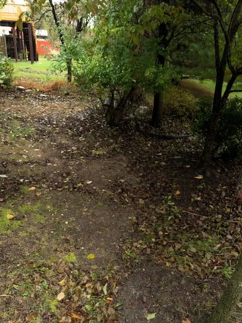 Affordable outdoor landscaping experts serving Cockeysville, MD - W S Services Unlimited