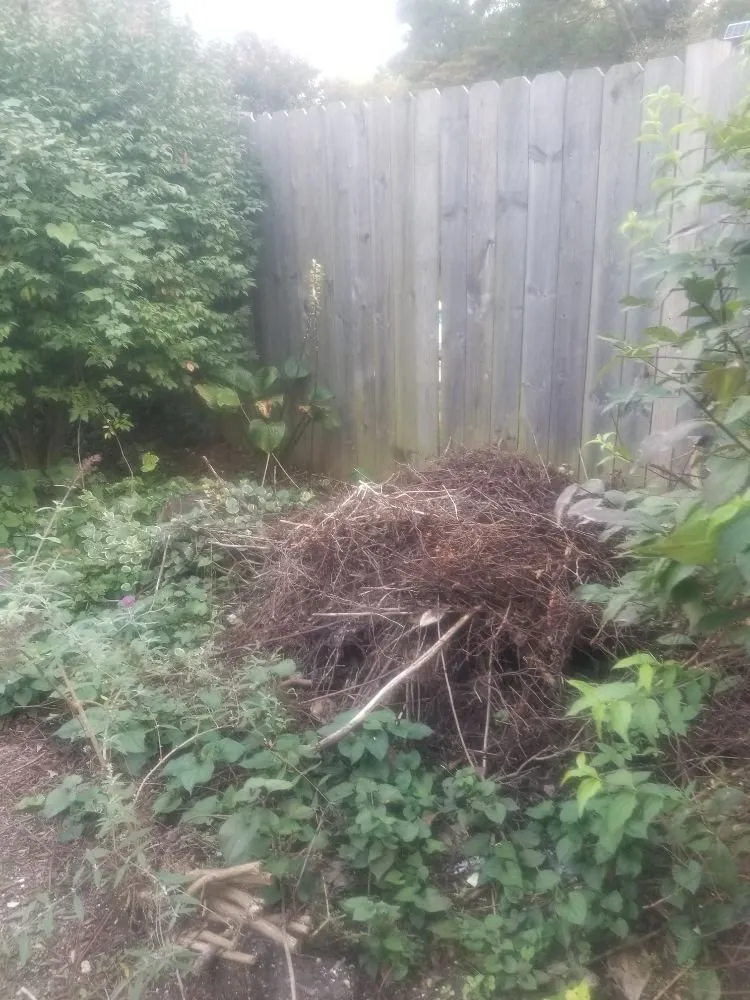 Affordable yard maintenance with custom design in Cockeysville, MD by W S Services Unlimited