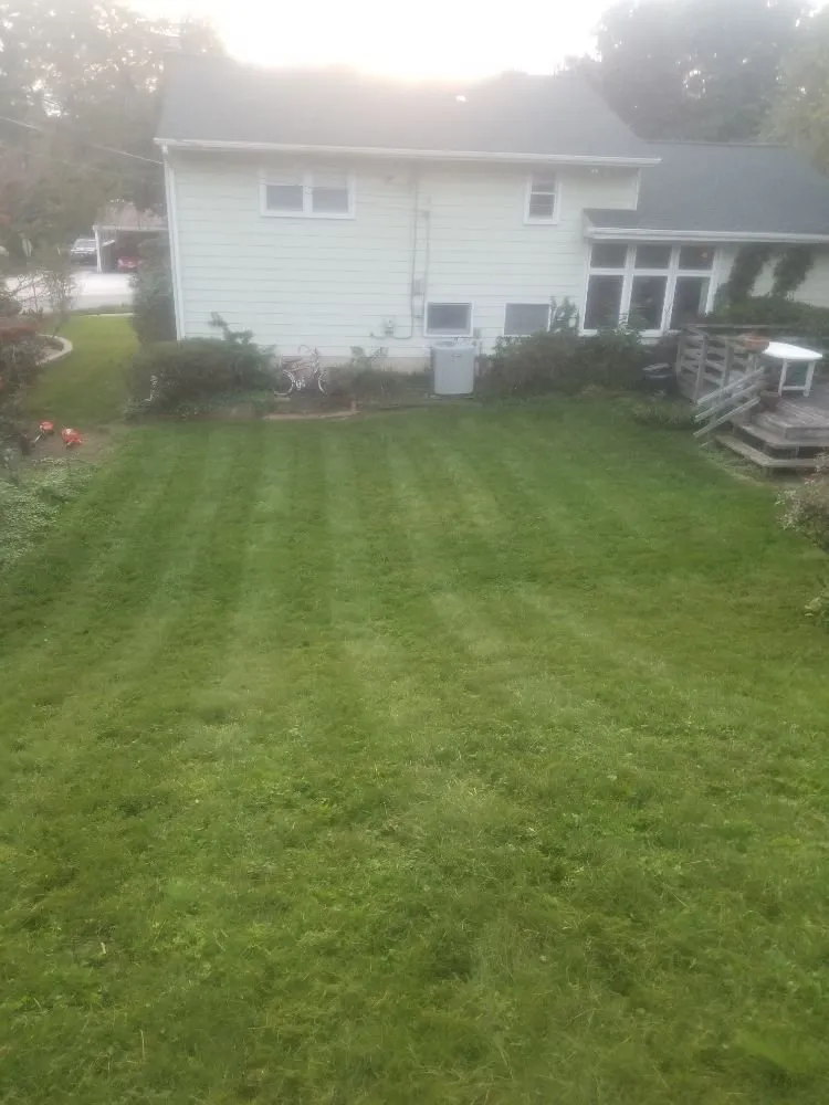 Professional landscape installation experts serving Cockeysville, MD - W S Services Unlimited