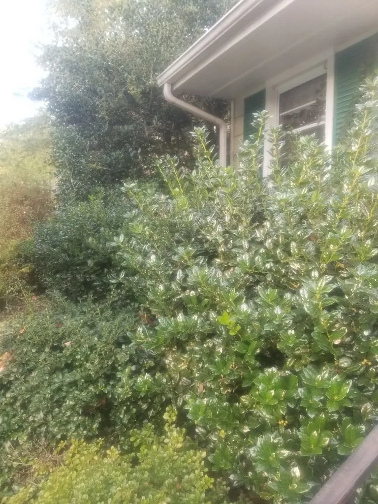 Expert garden landscaping for beautiful yards in Cockeysville, MD by W S Services Unlimited