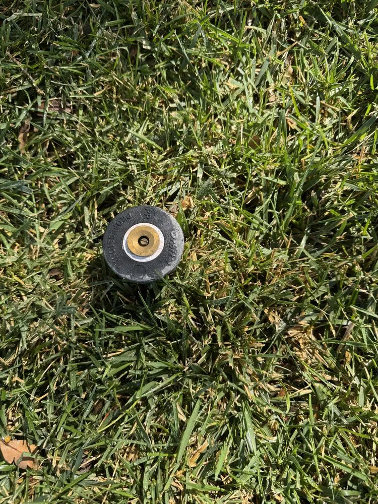 Top-rated landscape installation experts serving Atascadero, CA - W Vargas Landscaping