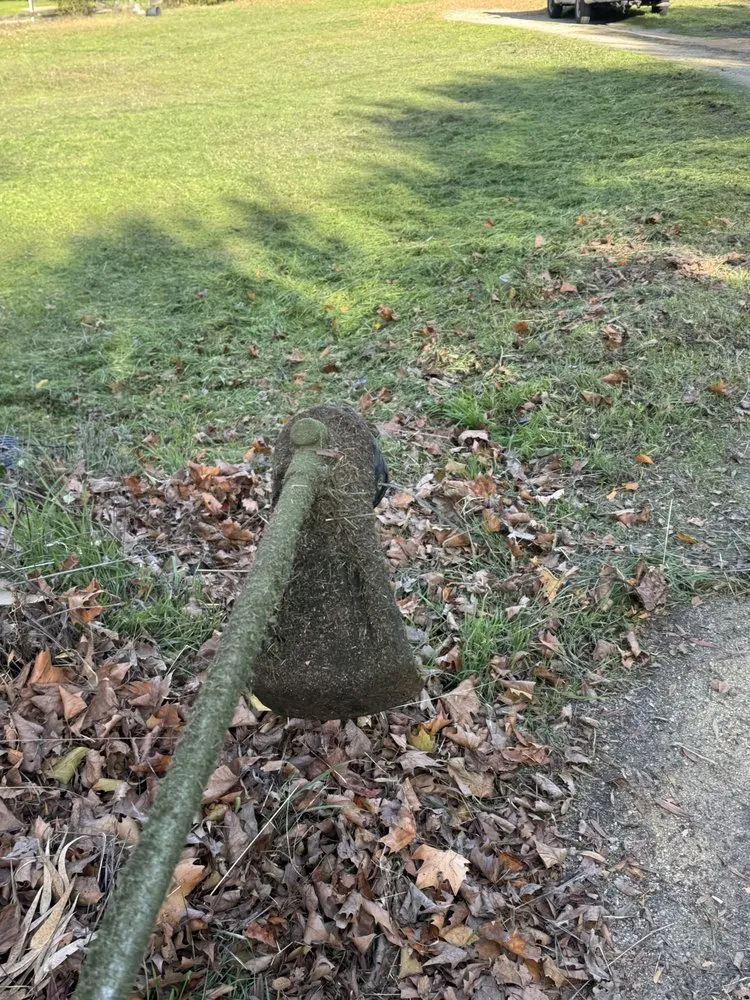 Local lawn care service experts serving Atascadero, CA - W Vargas Landscaping