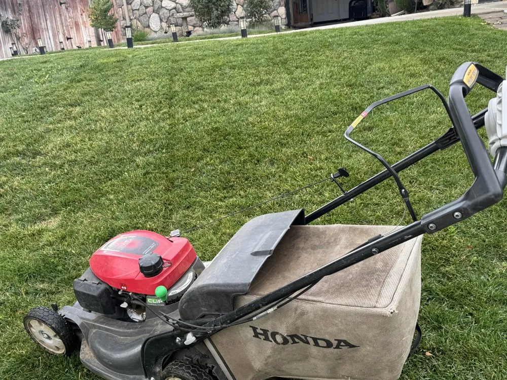 Custom landscape design for homes in Atascadero, CA by W Vargas Landscaping