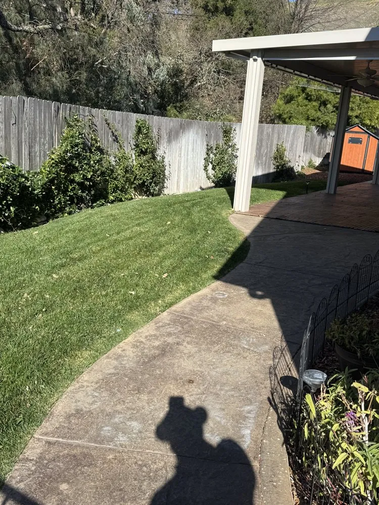 Local yard cleanup service for homes across Atascadero, CA - W Vargas Landscaping