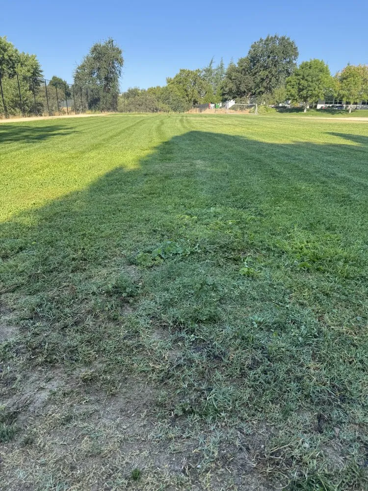 Top-rated yard maintenance experts serving Atascadero, CA - W Vargas Landscaping