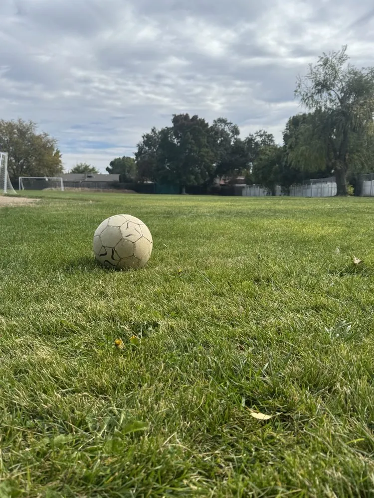 Affordable lawn care service in Atascadero, CA by W Vargas Landscaping