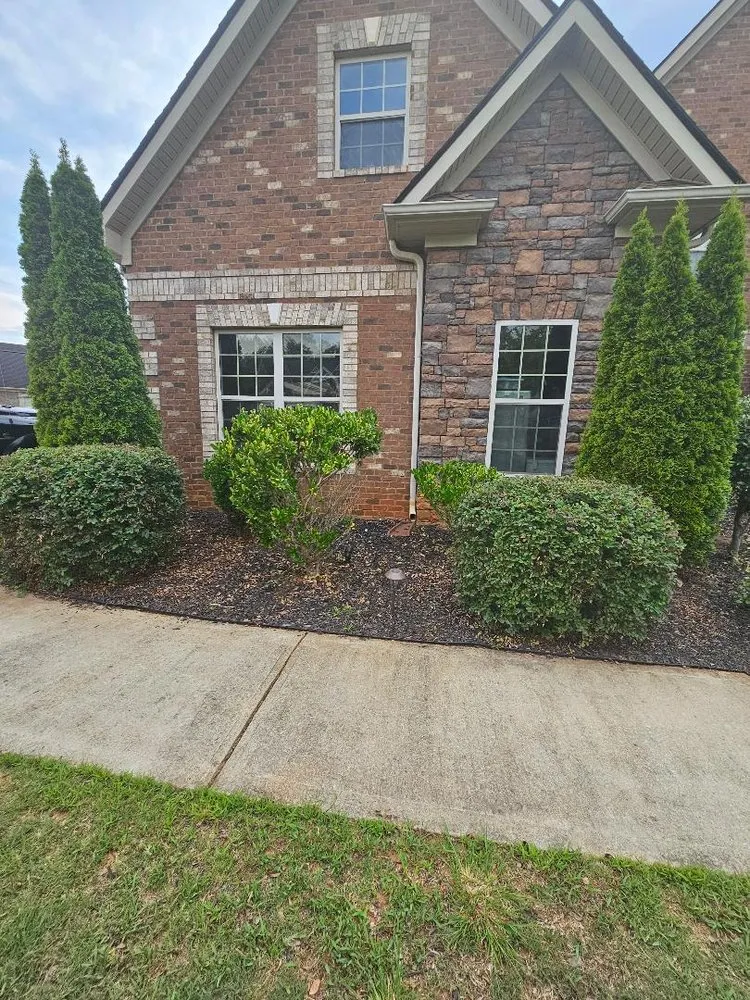 Local yard cleanup service experts serving Hampton, GA - W Yard Care