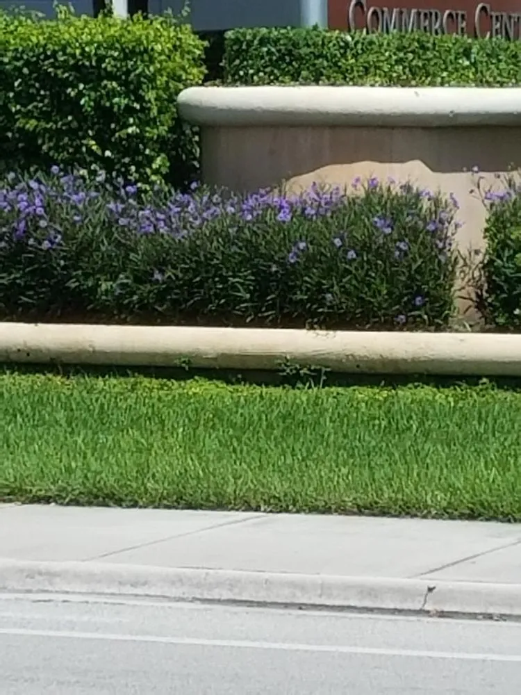 Custom landscaping services for outdoor upgrades in Saint Cloud, FL by WA-3 Pest Control & Lawn Spray