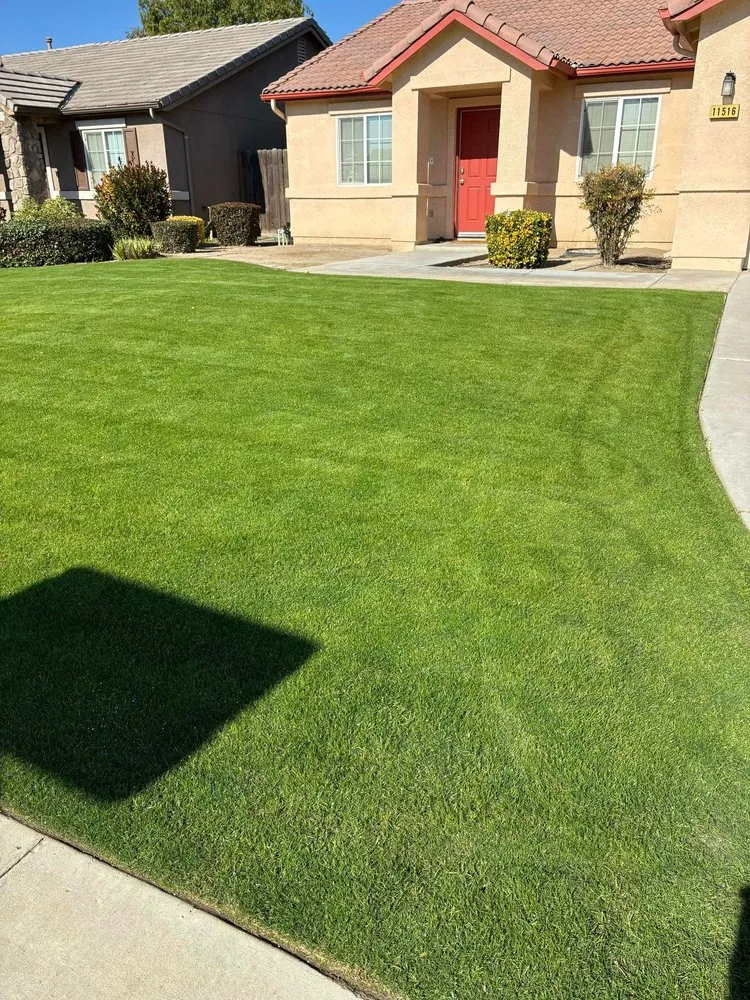 Reliable outdoor landscaping in Bakersfield, CA by WA Lawn Care
