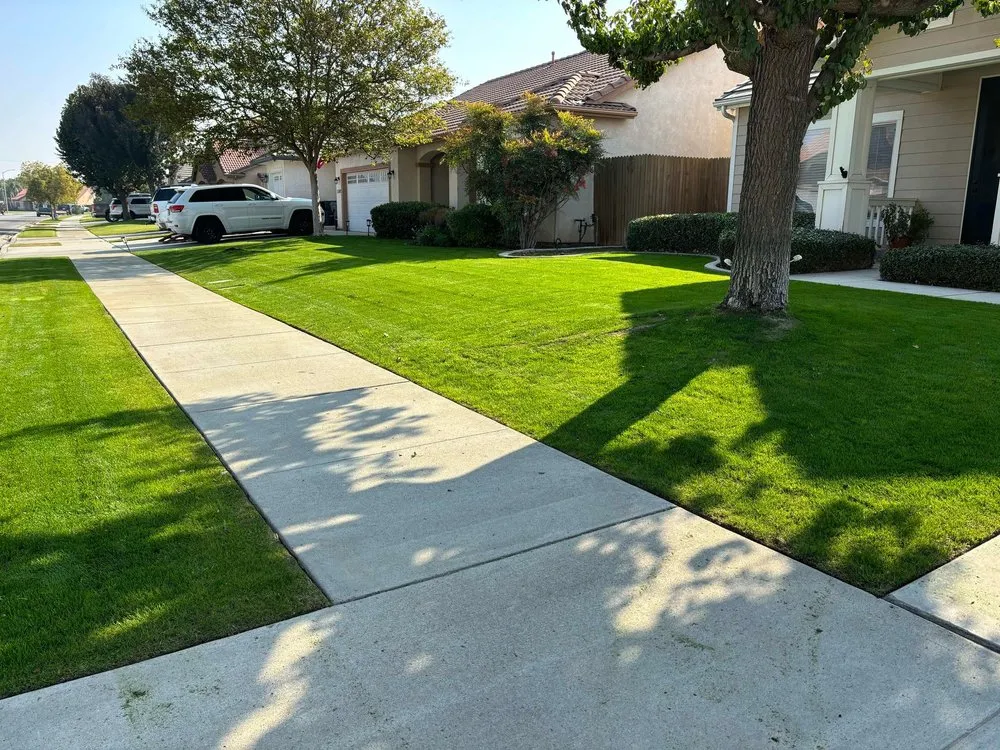 Custom yard cleanup service for residential properties across Bakersfield, CA - WA Lawn Care