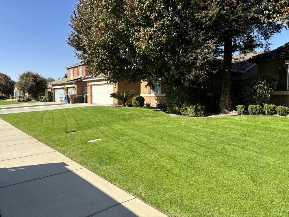 Expert yard cleanup service for outdoor upgrades in Bakersfield, CA by WA Lawn Care