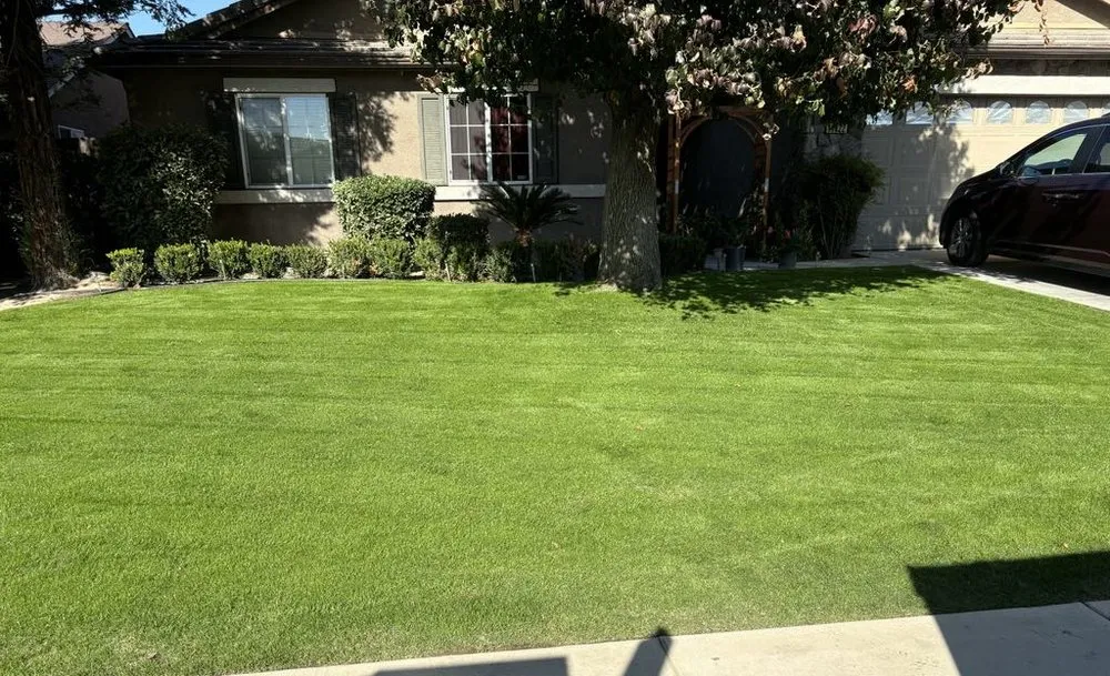 Custom residential landscaping in Bakersfield, CA - WA Lawn Care