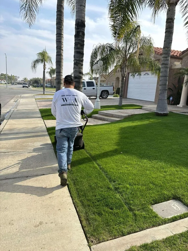 Expert yard maintenance in Bakersfield, CA - WA Lawn Care
