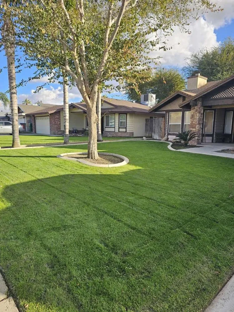 Professional landscape design for residential properties across Bakersfield, CA - WA Lawn Care