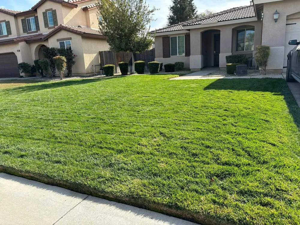 Affordable yard maintenance for homes across Bakersfield, CA - WA Lawn Care